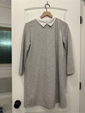 Zara Trafaluc Dress with White Collar